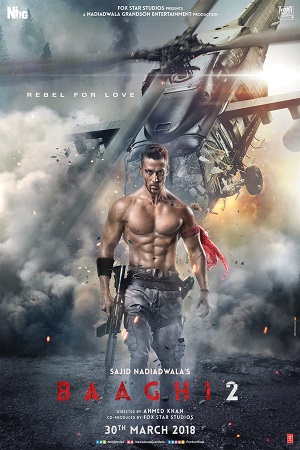 Baaghi 2 (2018) Hindi Full Movie 480p - 720p - 1080p