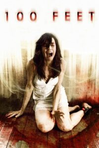 100 Feet (2008) Dual Audio [Hindi + English] BluRay 480p - 720p - 1080p
