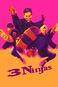 3 Ninjas (1992) Dual Audio {Hindi-English} BluRay 480p - 720p - 1080p