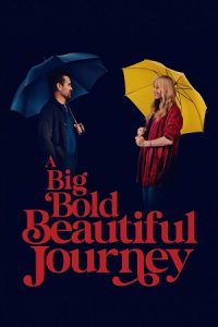 A Big Bold Beautiful Journey (2025) Dual Audio {Hindi-English} Web-DL 480p - 720p - 1080p