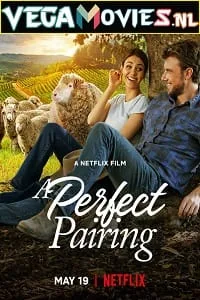 A Perfect Pairing (2022) Dual Audio {Hindi-English} 480p - 720p - 1080p