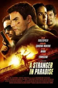 A Stranger in Paradise (2013) Dual Audio [Hindi + English] WeB-DL 480p - 720p - 1080p