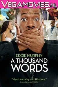 A Thousand Words (2012) Dual Audio {Hindi-English} 480p - 720p