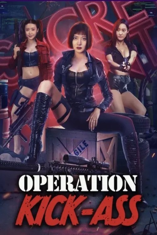 Action team overlord flower (2022) Dual Audio {Hindi-Chinese} WEB-DL 480p - 720p - 1080p