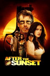 After the Sunset (2004) Dual Audio {Hindi-English} BluRay 480p - 720p - 1080p