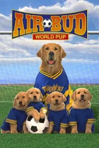 Air Bud: World Pup (2000) WEB-DL Dual Audio {Hindi-English} 480p - 720p - 1080p