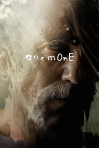 Anemone (2025) WEB-Rip Dual Audio {Hindi-English} 480p - 720p - 1080p