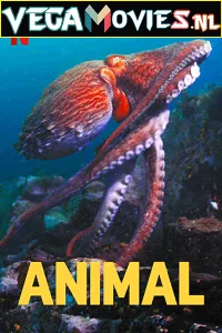 Netflix Animal (Season 1-2) Dual Audio {Hindi-English} 480p - 720p HDRip