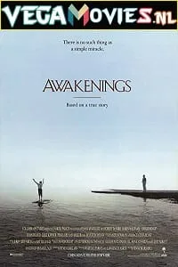 Awakenings (1990) Dual Audio {Hindi-English} 480p - 720p - 1080p