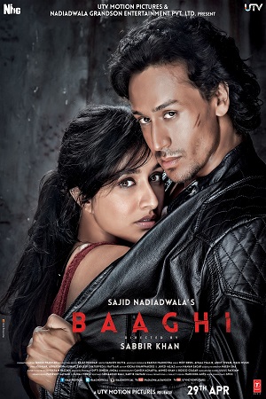 Baaghi (2016) Hindi Full Movie 480p - 720p - 1080p