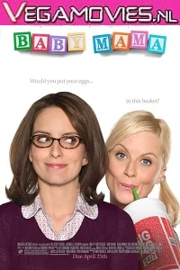 Baby Mama (2008) Dual Audio {Hindi-English} 480p - 720p