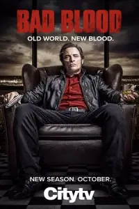 Bad Blood (Season 1 – 2) Dual Audio {Hindi-English} Netflix Complete WEB Series 480p - 720p WEB-DL