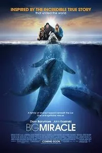 Big Miracle (2012) Dual Audio {Hindi-English} 480p - 720p - 1080p
