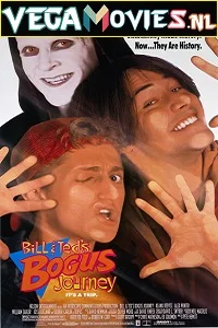 Bill & Ted’s Bogus Journey (1991) English 480p - 720p
