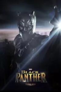 Black Panther (2018) IMAX BluRay Dual Audio {Hindi-English} 480p - 720p - 1080p - 2160p 10bit