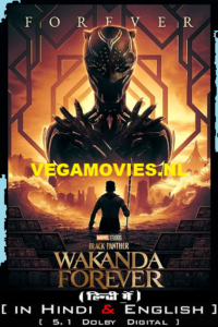 Black Panther: Wakanda Forever (2023) iMAX Dual Audio [Hindi DD5.1 – English] 480p - 720p - 1080p - 2160p