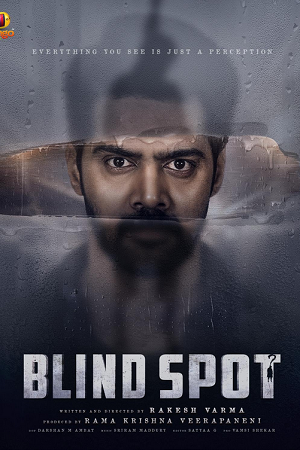 Blind Spot (2025) Hindi-DD5.1 (Multi-Audio) WeB-DL 480p - 720p - 1080p