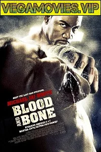 Blood and Bone (2009) Dual Audio {Hindi-English} 480p - 720p