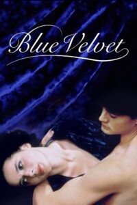 Blue Velvet (1986) Dual Audio [Hindi + English] WeB-DL 480p - 720p - 1080p