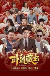 Brothers (2022) WEB-DL Dual Audio {Hindi-Chinese} 480p - 720p - 1080p