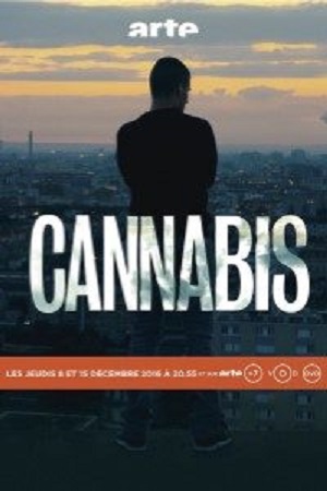 Cannabis (2016) Season 1 Hindi Complete MX Original WEB Series 480p - 720p HDRip