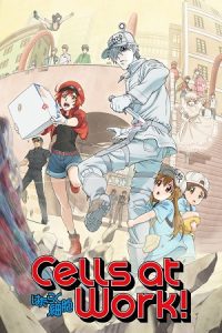 Cells at Work! (Season 1) Multi Audio {Hindi-English-Japanese} Anime Series 480p 720p & 1080p Blu-Ray