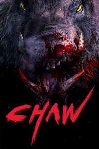 Chawz (2009) Uncut-BluRay Dual Audio {Hindi-Korean} 480p - 720p - 1080p
