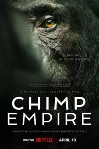 Chimp Empire (2023) Season 1 Complete Dual Audio {Hindi-English} Netflix Original WEB Series 720p - 1080p WEB-DL