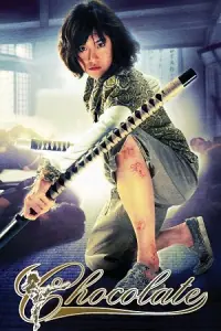 Chocolate (2008) BluRay Dual Audio {Hindi-Thai} 480p - 720p - 1080p