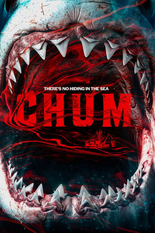 Chum (2026) BluRay Dual Audio {Hindi-English} 480p - 720p - 1080p