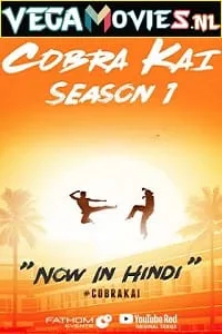 Cobra Kai – Netflix Original (2018) Season 1 Dual Audio {Hindi-English} 480p - 720p WEB-DL