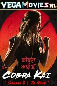 Cobra Kai – Netflix Original (2019) Season 2 Dual Audio {Hindi-English} 480p - 720p WEB-DL