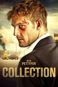 Collection (2021) Dual Audio {Hindi-English} 480p - 720p - 1080p BluRay