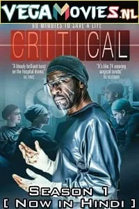 Critical (2015) Season 1 Complete [Hindi Dubbed] WEB Series 480p - 720p WEB-DL