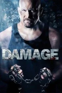 Damage (2009) Dual Audio Full Movie {Hindi-English} 480p - 720p