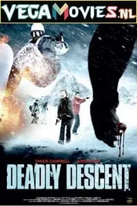 Deadly Descent (2013) Dual Audio {Hindi-English} 480p - 720p