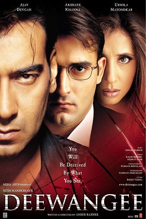 Deewangee (2002) Hindi Full Movie WEB-DL 480p - 720p - 1080p