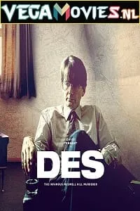 Des (2020) Season 1 Dual Audio {Hindi-English} 480p - 720p HDRip