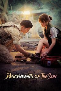 Descendants Of The Sun (Season 1) Dual Audio {Hindi-Korean} ZEE5 WEB-DL Series 720p - 1080p
