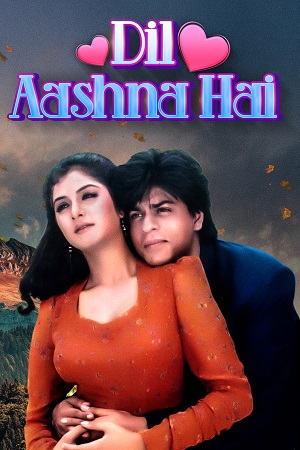 Dil Aashna Hai (1992) HDRip Hindi Full Movie 480p - 720p - 1080p