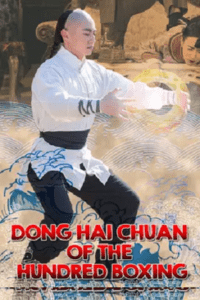 Dong Hai Chuan of the Hundred Boxing (2018) WEB-DL Dual Audio {Hindi-Chinese} 480p - 720p - 1080p