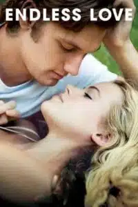Endless Love (2014) Dual Audio {Hindi-English} BluRay 480p - 720p - 1080p