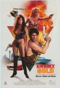 [18+] Enemy Gold (1993) Dual Audio {Hindi-English} 480p - 720p