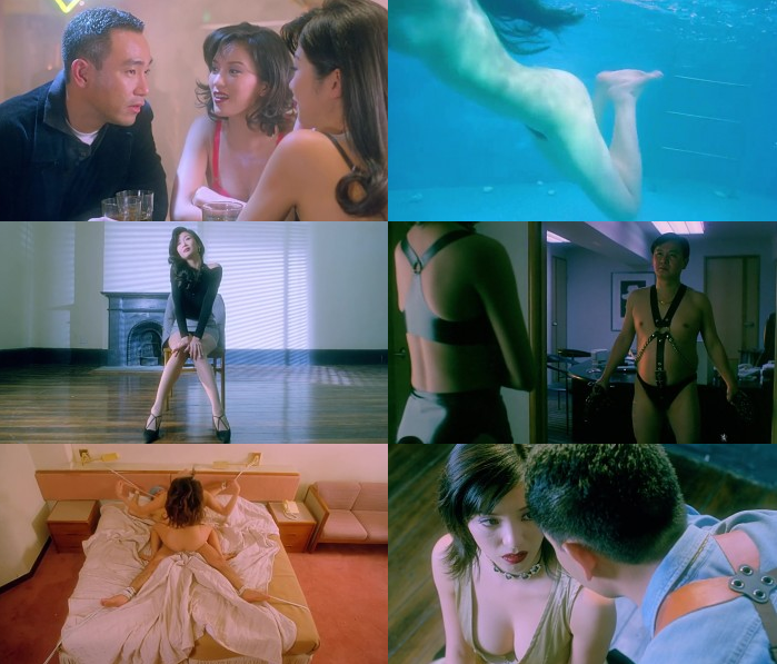 [18+] Evil Instinct (1996) Dual Audio {Hindi-English} BluRay 480p - 720p