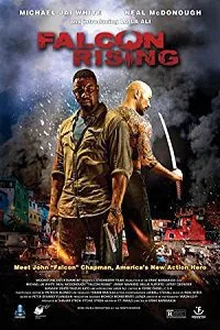 Falcon Rising (2014) Dual Audio Hindi 480p - - 720p