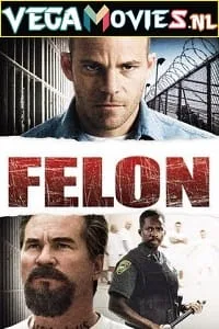 Felon (2008) Dual Audio [Hindi + English] WeB-DL 480p - 720p - 1080p