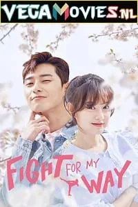 Fight For My Way (Season 1) Dual Audio {Hindi + Korean} Complete WEB Series 480p - 720p WEB-DL