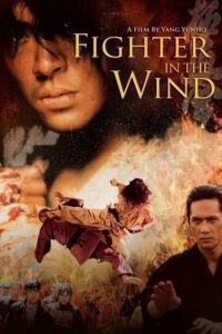 Fighter in the Wind (2004) BluRay Dual Audio {Hindi-Korean} 480p - 720p - 1080p