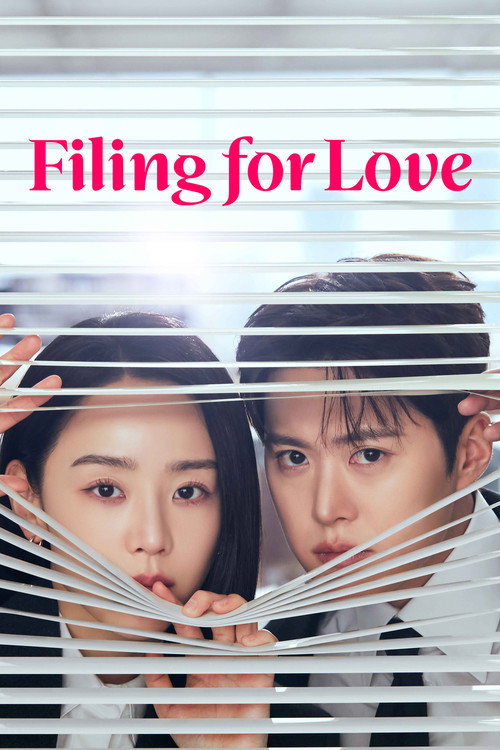 Filing for Love (Season 1) Dual Audio {Hindi-Korean} K-Drama Series 480p 720p & 1080p WEB-DL