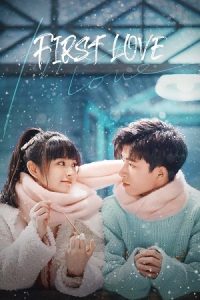 First Love (Season 1) Hindi ORG Dubbed C-Drama Series 480p 720p & 1080p WEB-DL
